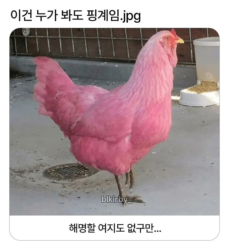 20260405231605_SSVZoMjLiU.jpg