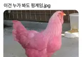 이건 누가 봐도 핑계임