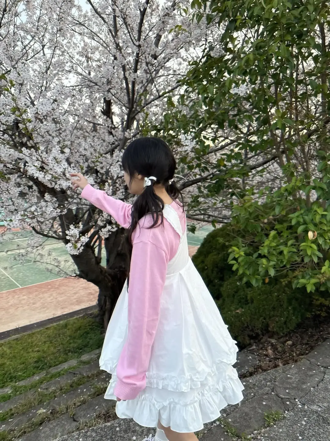 siyo.co.kr_20260405_p_3868592900955934727_9_3868592841203869317.jpg
