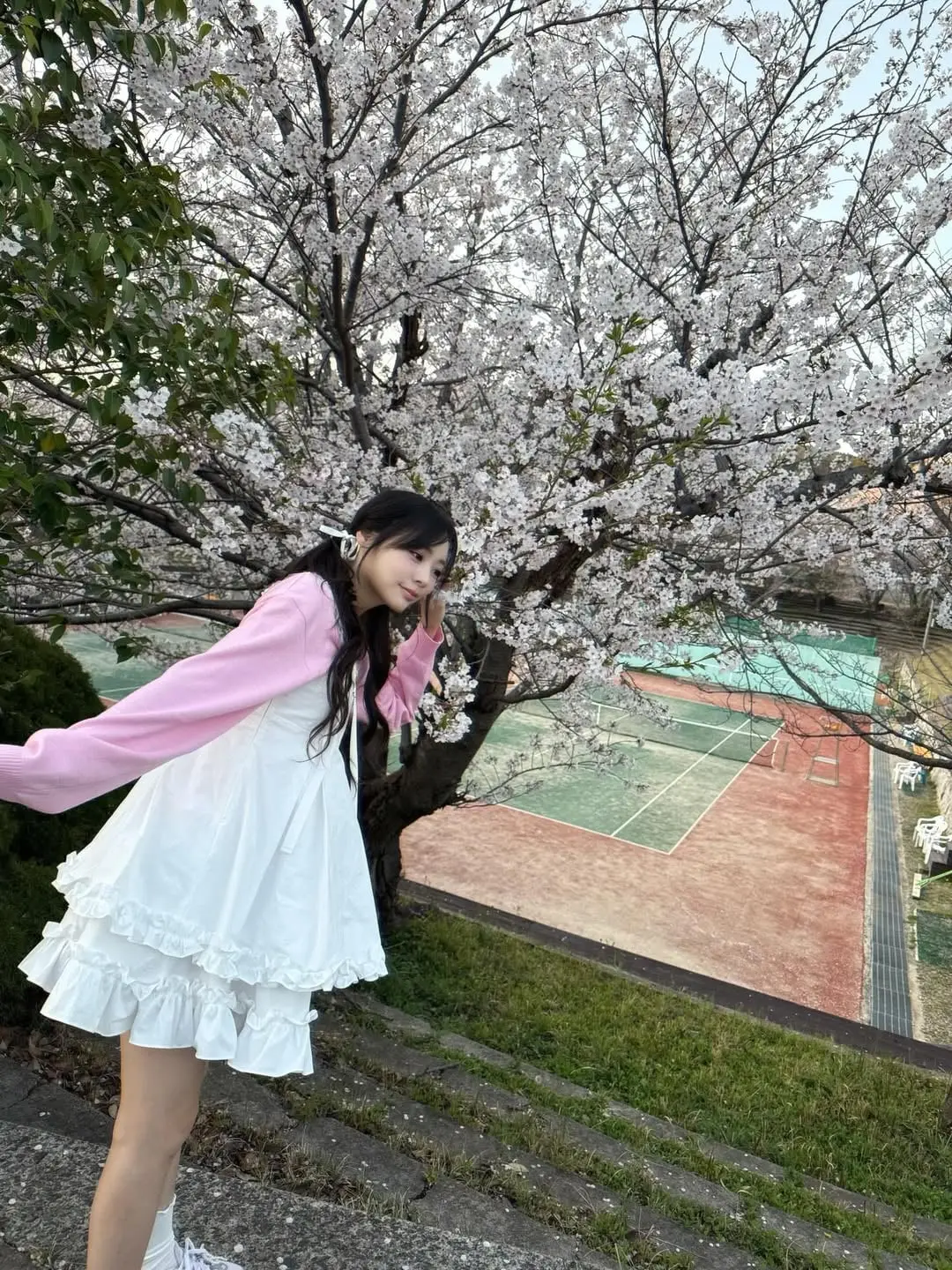 siyo.co.kr_20260405_p_3868592900955934727_6_3868592833075281947.jpg