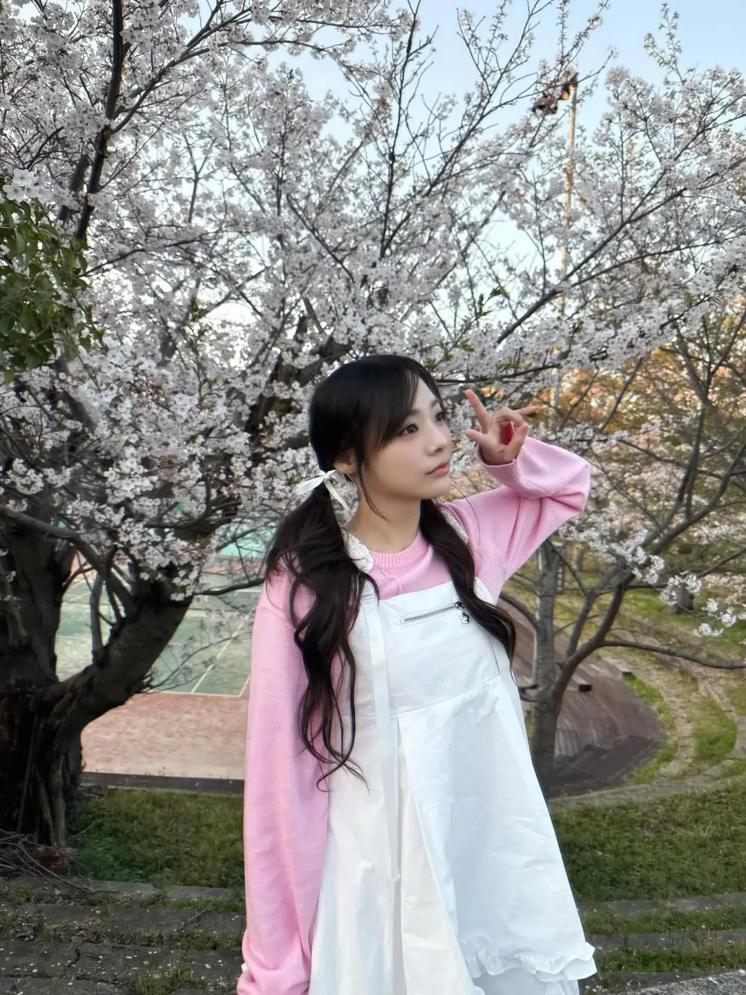 siyo.co.kr_20260405_p_3868592900955934727_8_3868592841942062031.jpg