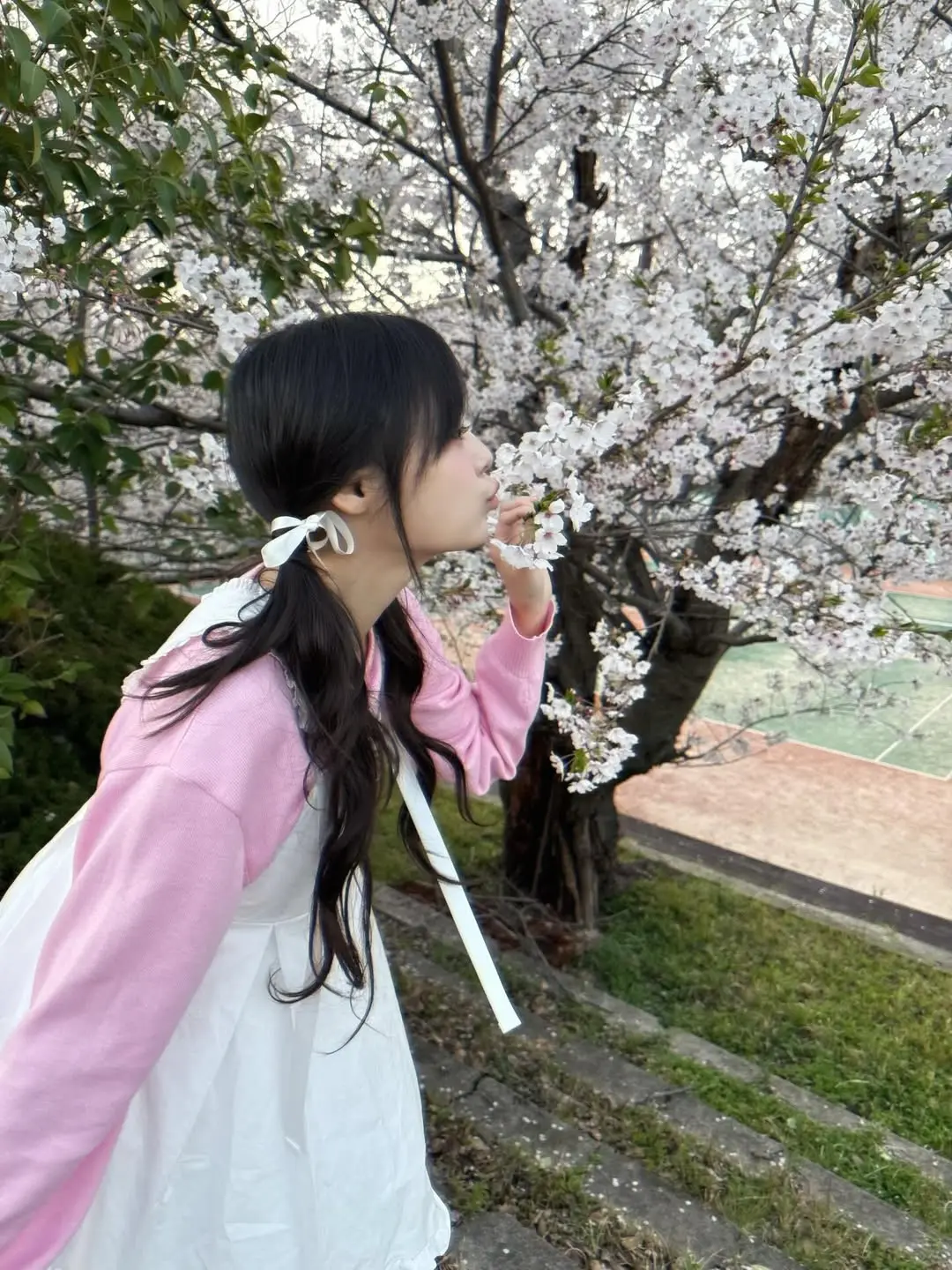 siyo.co.kr_20260405_p_3868592900955934727_1_3868592801416722279.jpg