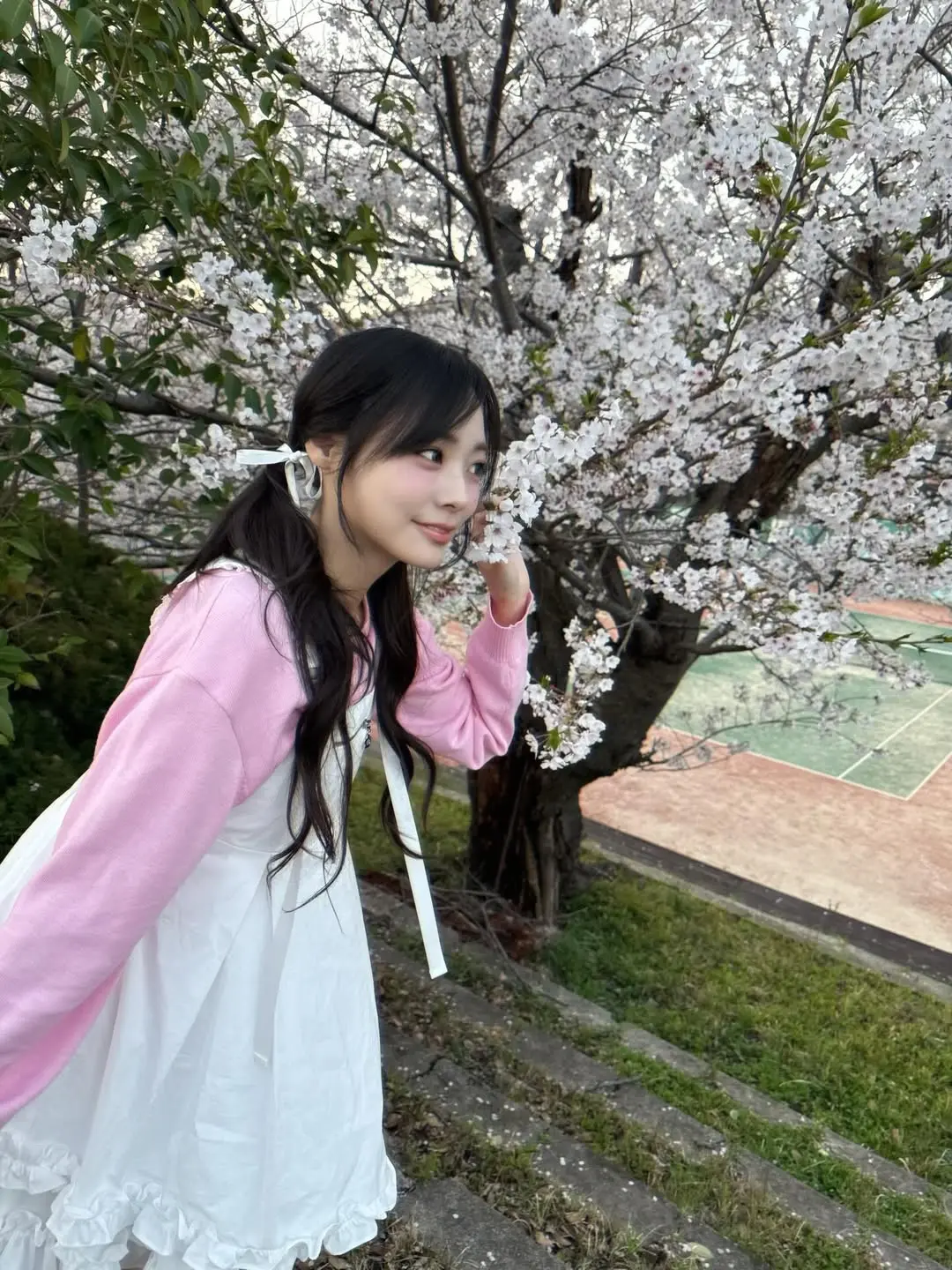 siyo.co.kr_20260405_p_3868592900955934727_2_3868592805753632392.jpg