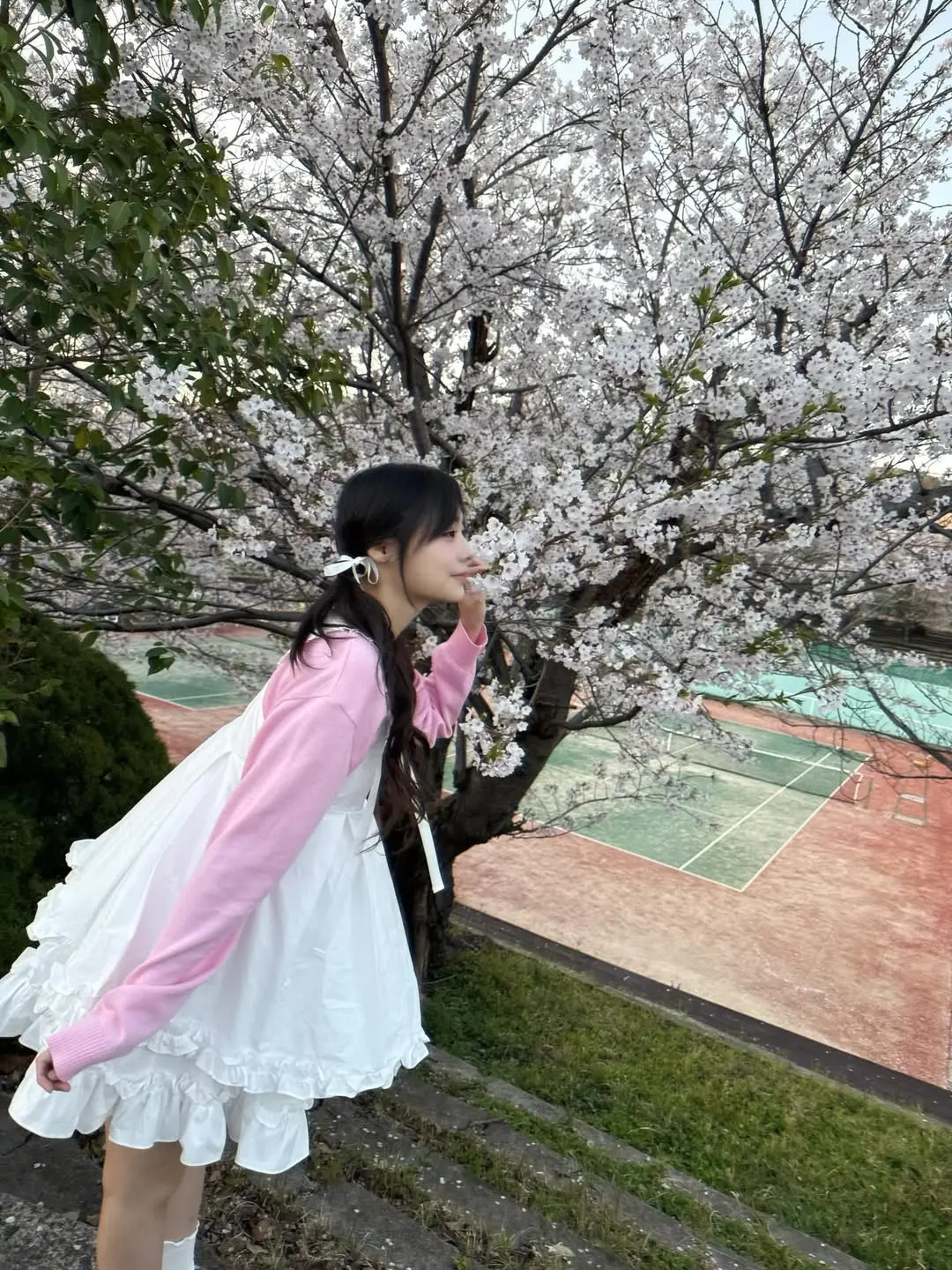 siyo.co.kr_20260405_p_3868592900955934727_5_3868592831447899135.jpg