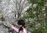 qwer 시연 최근
