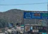 대전 오월드서 탈출한 늑대 오월드 네거리서 목…