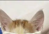 형아! 나 드디어 눈 기증 받게 됐대!