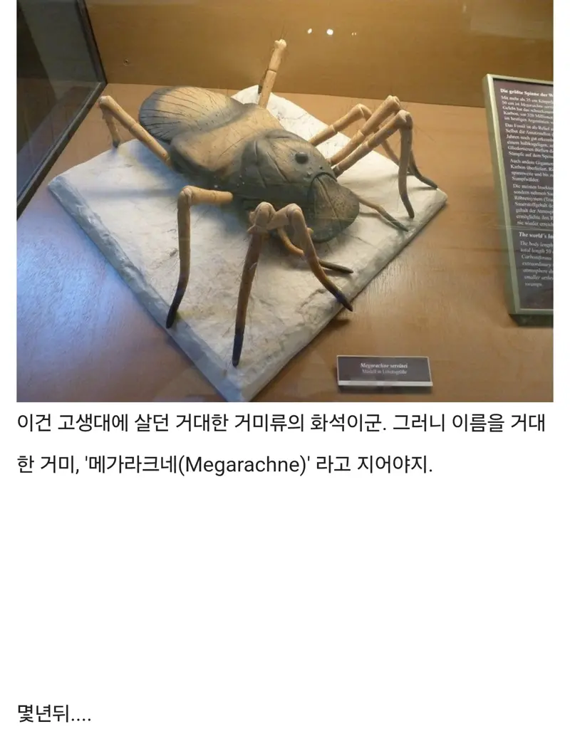 Internet_20260409_152248_2.png