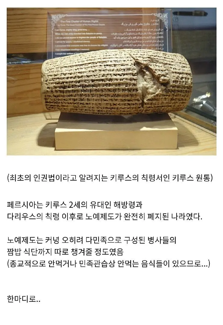 영화 300에 나오는 아이러니한 장면