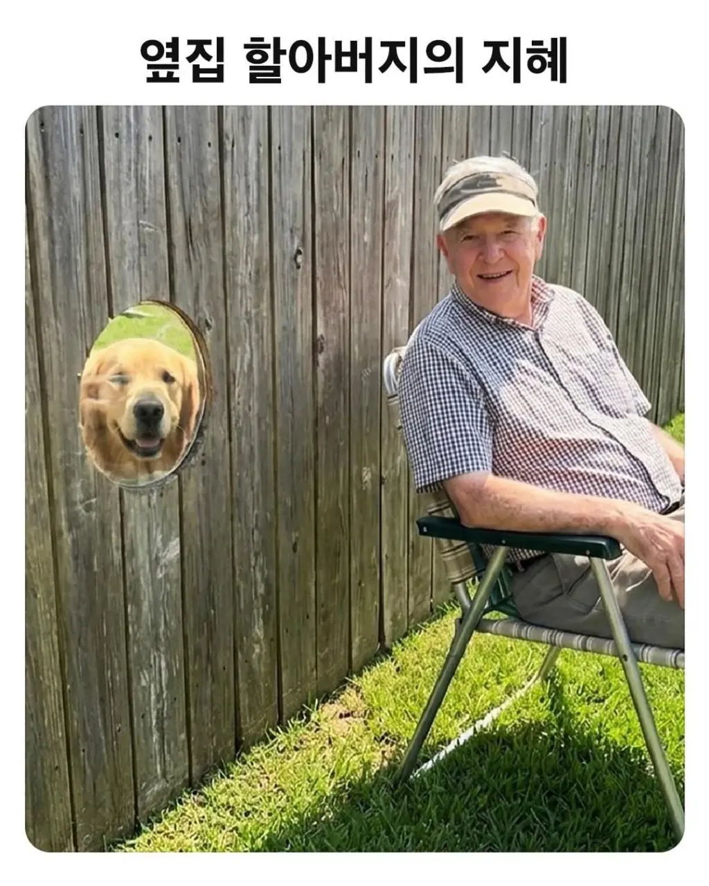 4e4dcac80ff866af9e467903f192a886788db6dd.jpeg