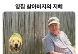 이웃간 소음 문제를 해결한 할아버지.jpg