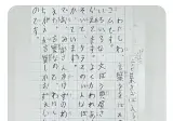 일본 초딩이 쓴 작문 수준