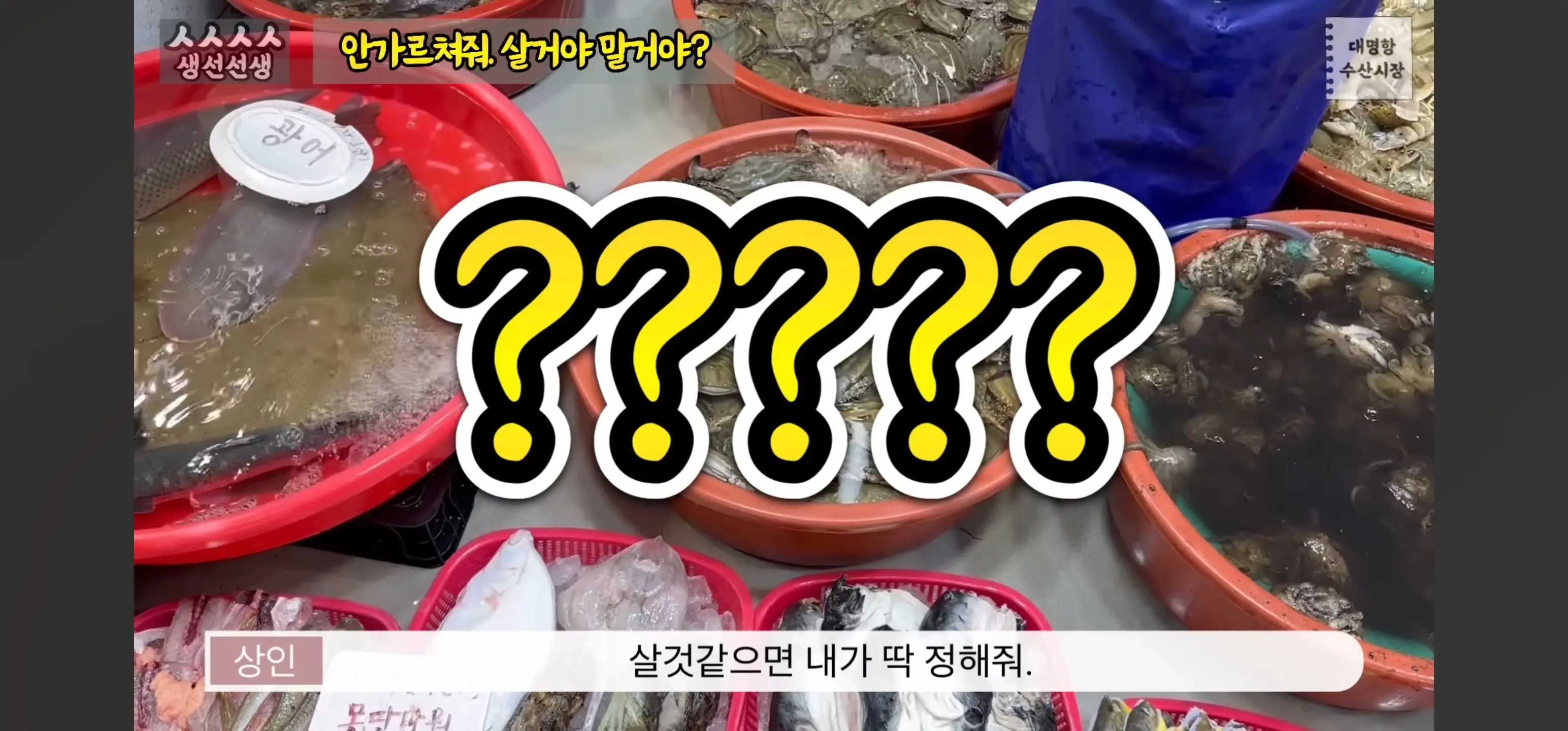 19d901c19e4559594.webp