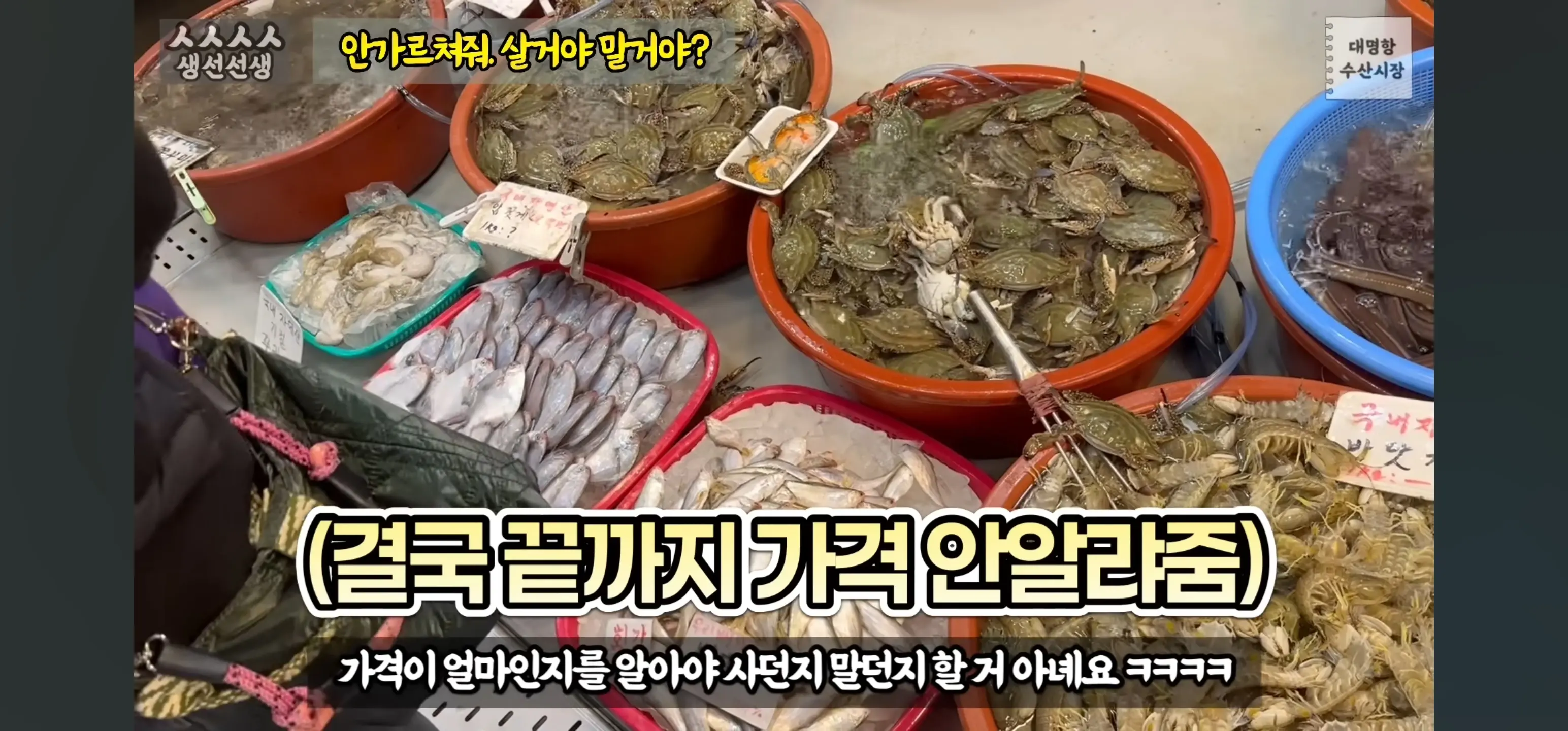 19d901c1e36559594.webp