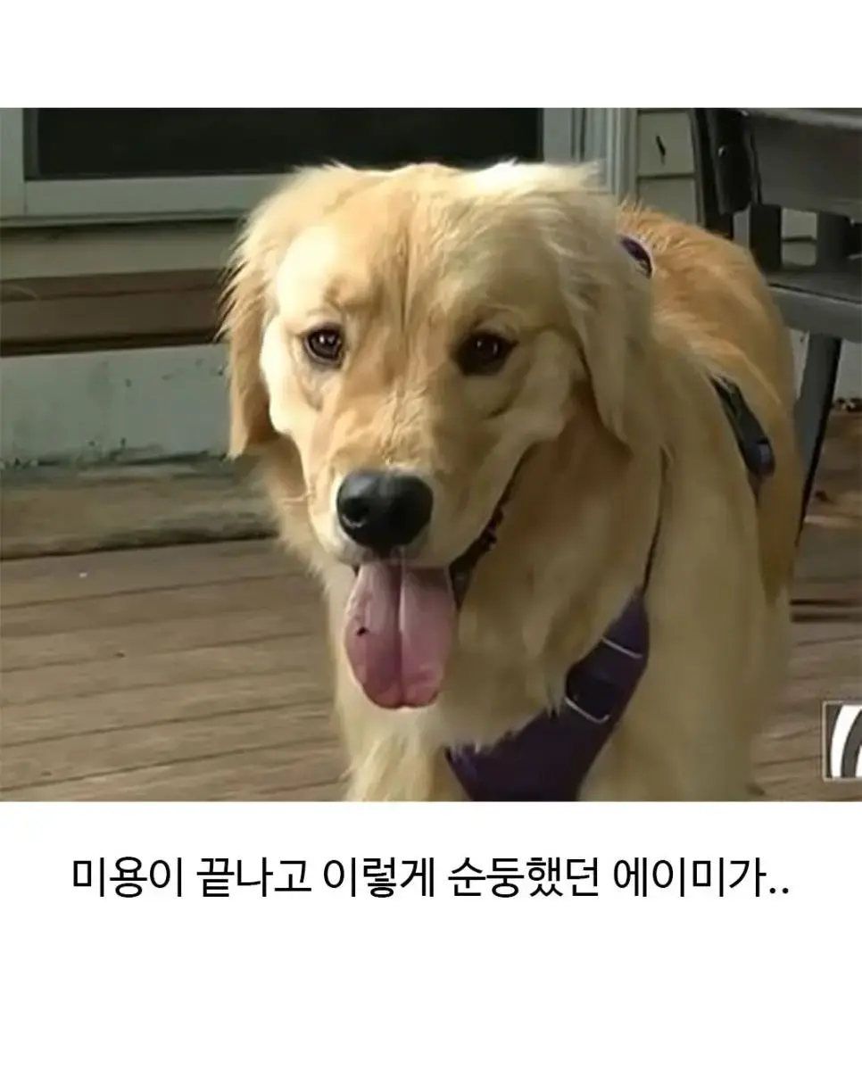 Jwoai.webp