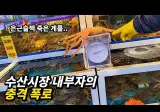 혈압주의) 수산시장 내부자의 충격 폭로, "단골도 예외가 아닙니다"