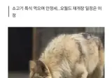난리난 오월드 늑구 근황 ㄷㄷ.jpg