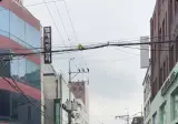 한국에 온 독일모델 니콜라 .jpgif