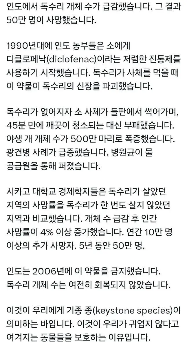 3.webp