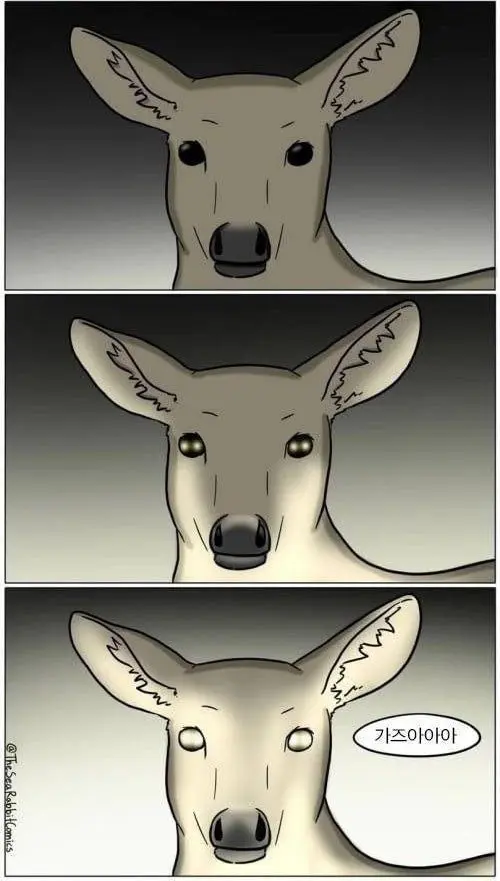 gaza.jpg