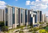 13평 강남 아파트, 6명 대가족이 '만점통장' 당첨