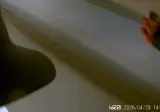 멘헤라 주의) 와들와들 정신병원