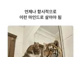 남자들이 살면서 가져야 할 마음가짐