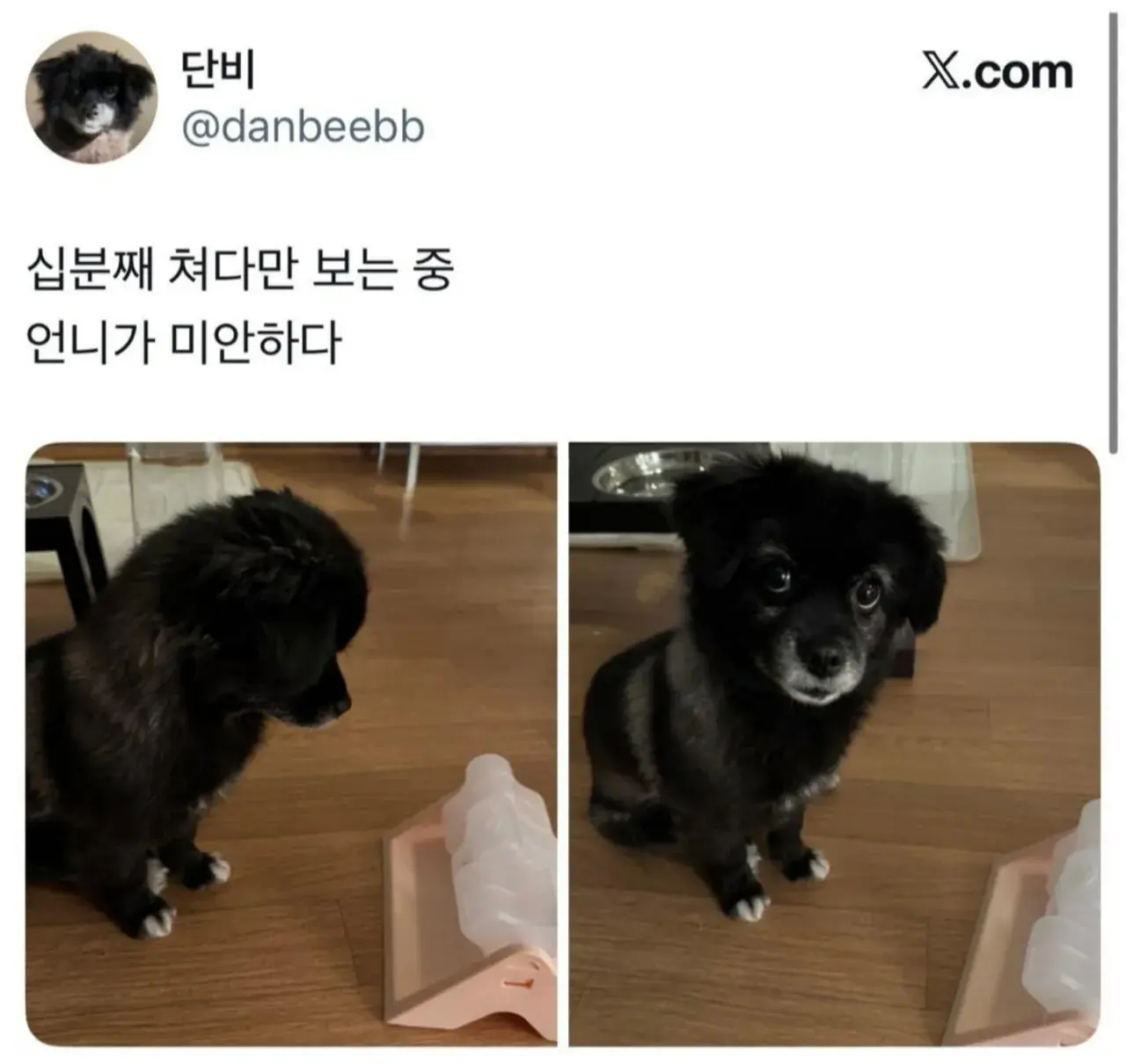 Screenshot_20260203_001205_Naver Cafe.jpg 오늘도 다이소에 3천원 기부했다