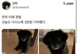 오늘도 다이소에 3천원 기부했다