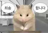 백수갤에서 가장 열심히 사는 갤러.jpg