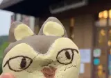 '빵의 도시' 대전 늑구빵 가격 근황