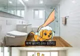 강아지가 목욕 후 미친 듯이 뛰는 이유.jpg