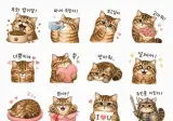 gpt로 뚝딱만든 고양이 이모티콘과 인포그래픽스
