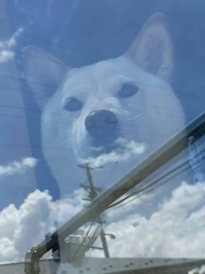 i1937371732.jpg