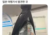 일본 여행가면 볼수있는 풍경