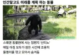 미래를 계획 하는 동물.jpg