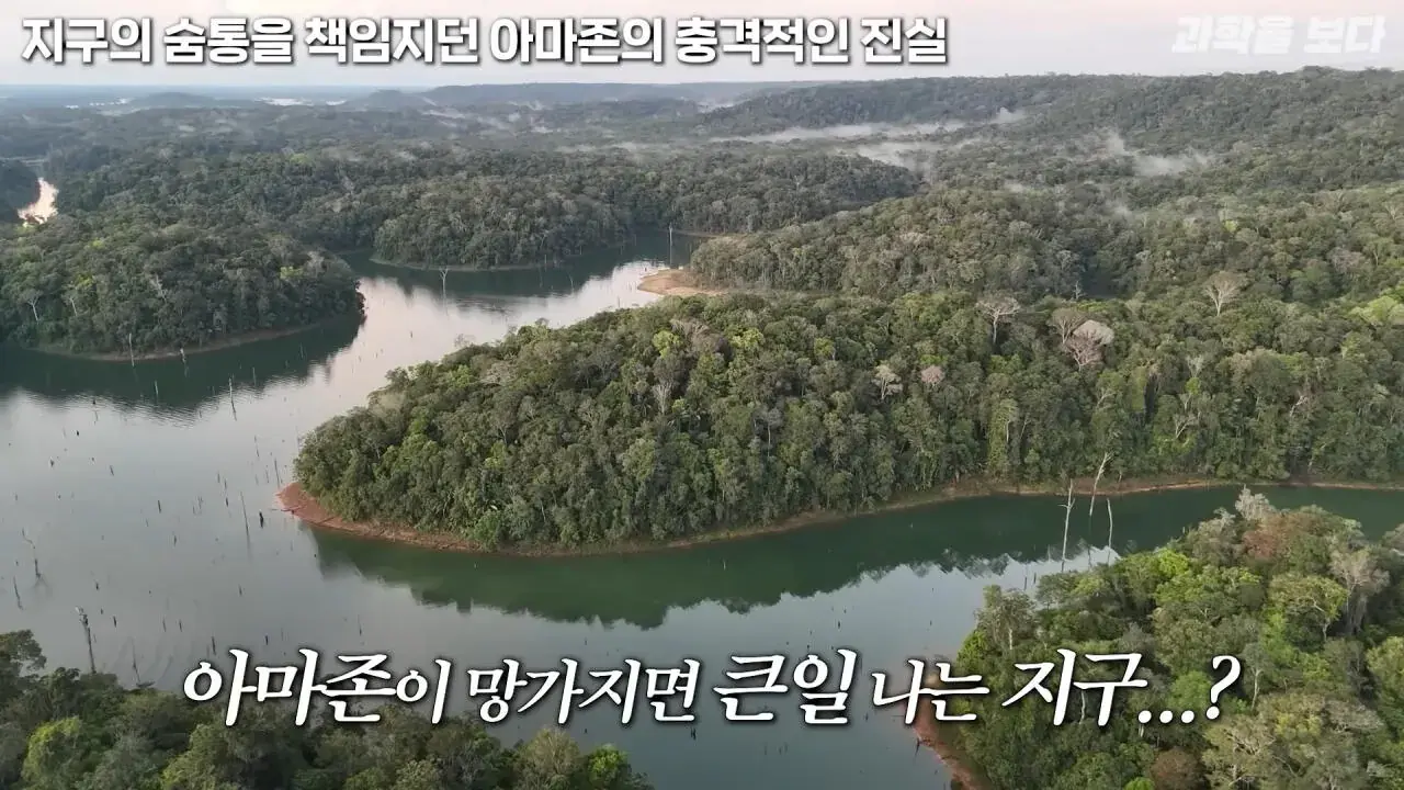 지구의 숨통을 책임지는 줄 알았던 아마존의 소름 돋는 반전… _ 과학을 보다 EP.188 (1).jpeg 의외로 지구의 허파가 아니라는 아마