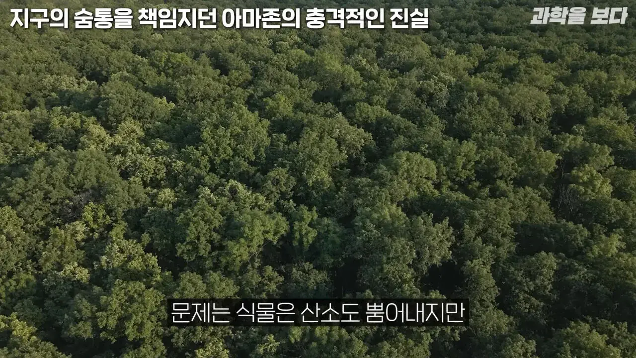 지구의 숨통을 책임지는 줄 알았던 아마존의 소름 돋는 반전… _ 과학을 보다 EP.188 (2).jpeg 의외로 지구의 허파가 아니라는 아마