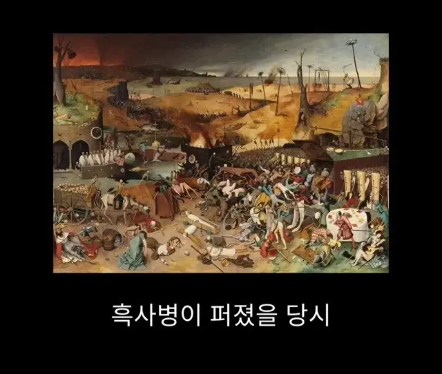 19cb26c56445434be.webp