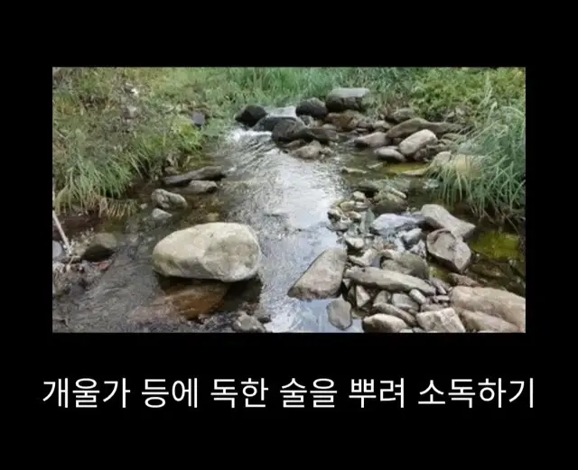 19cb26c69a95434be.webp