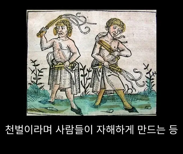 19cb26c5b8a5434be.webp