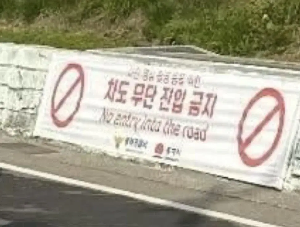 IMG_0551.jpeg 현재 난리났다는 동해 어디삼거리 근황