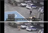 한국경찰에게 반해버린 영국가족.jpg