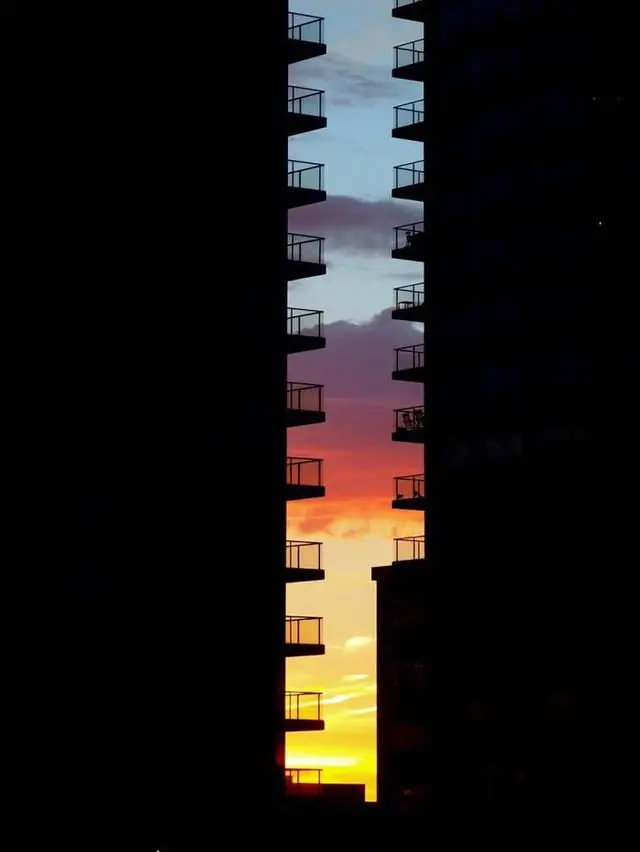 2_20260510_095944_325.jpg
