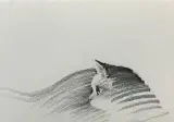 슥삭슥삭 그린 고양이, 강아지 그림