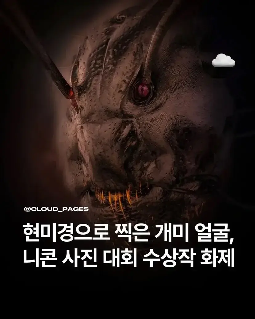 20260515095642_Idy95Yholq.webp