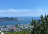 부산에 외국인 관광객 참 많아졌더군요