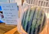 세계최초로 수박씨 빼는 기계를 도입한 이디야