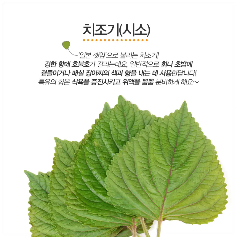 180523_FB_일식_채소_4.png