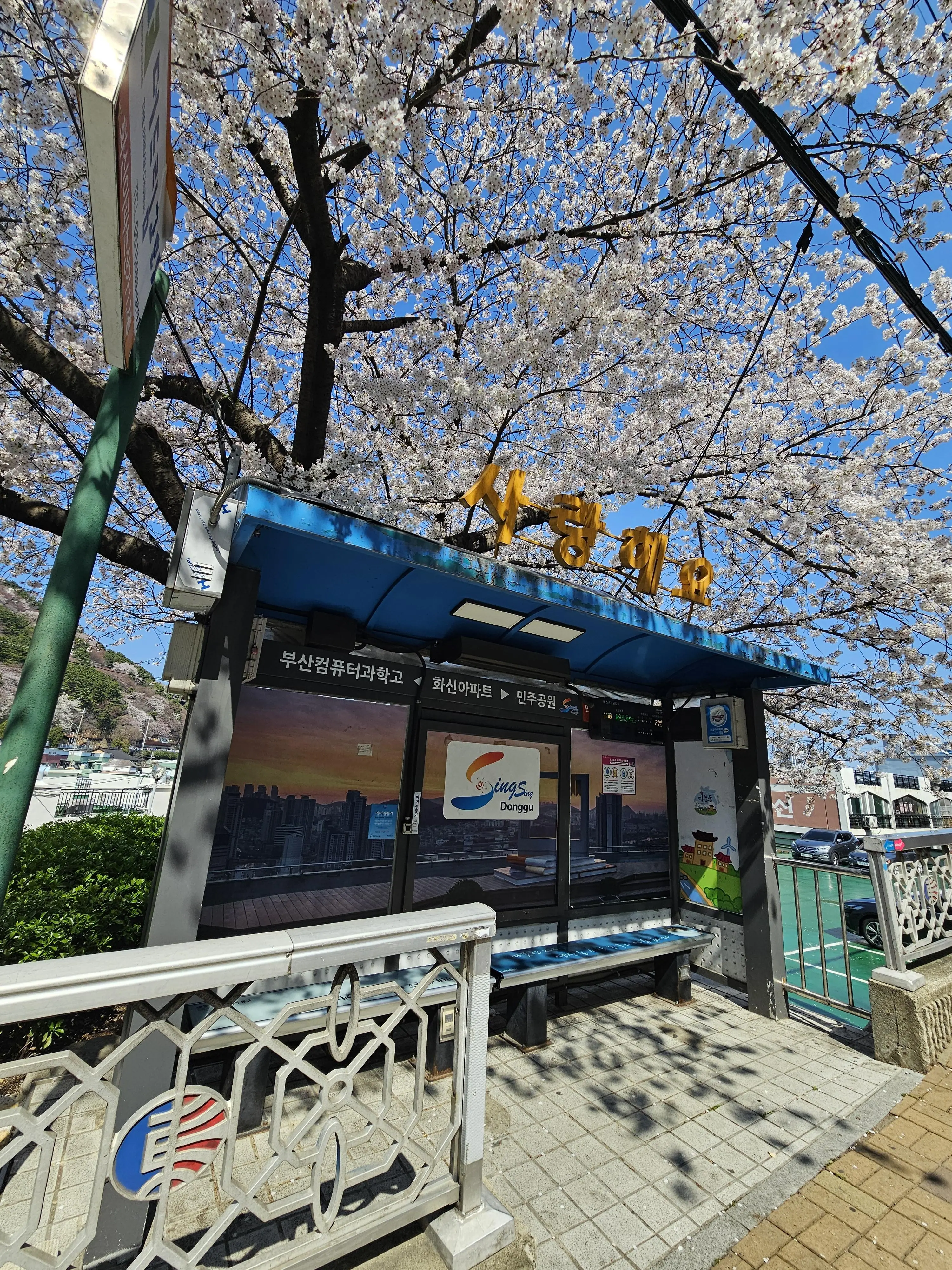 20260402_140525.jpg